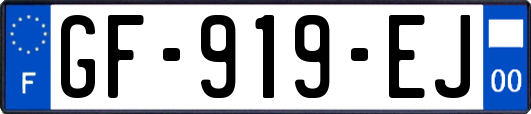 GF-919-EJ