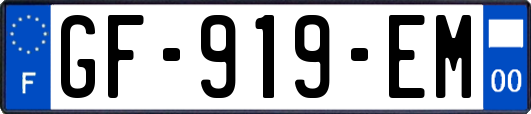 GF-919-EM