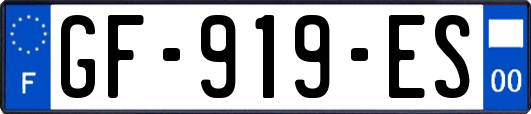 GF-919-ES