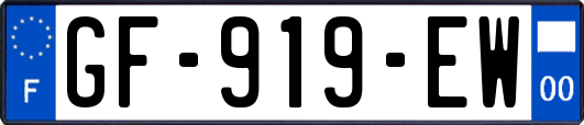 GF-919-EW
