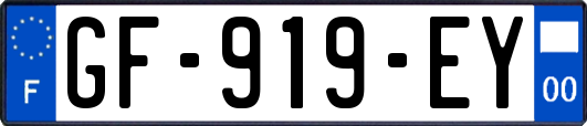 GF-919-EY