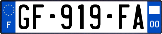 GF-919-FA