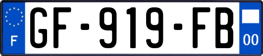 GF-919-FB