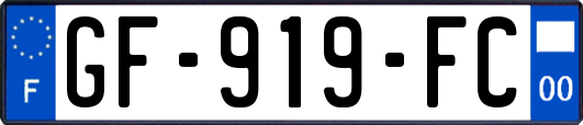 GF-919-FC