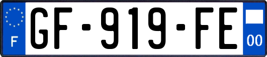 GF-919-FE