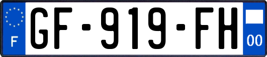 GF-919-FH