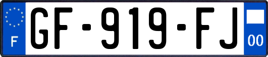 GF-919-FJ