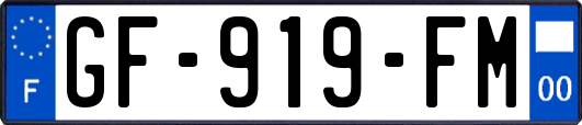 GF-919-FM