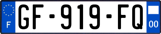 GF-919-FQ