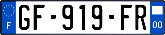 GF-919-FR