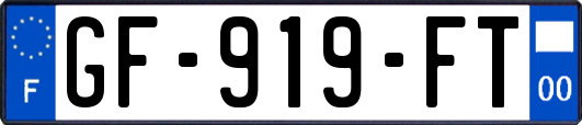 GF-919-FT
