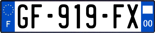 GF-919-FX