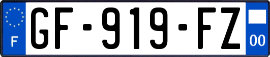 GF-919-FZ