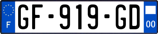GF-919-GD