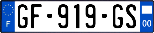 GF-919-GS