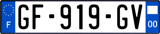 GF-919-GV