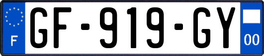 GF-919-GY