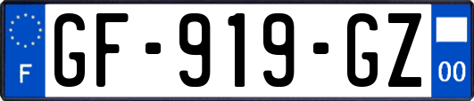 GF-919-GZ