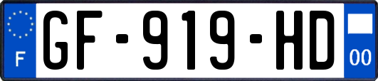 GF-919-HD