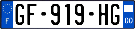 GF-919-HG