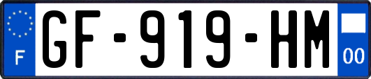 GF-919-HM