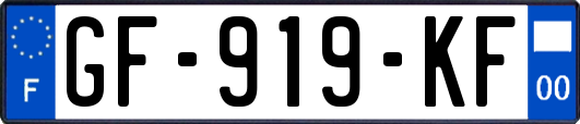 GF-919-KF