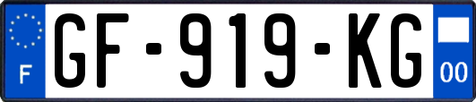 GF-919-KG