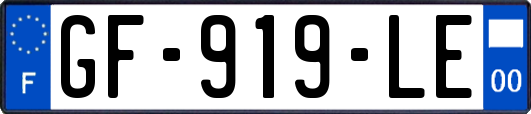 GF-919-LE