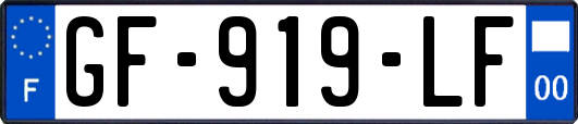 GF-919-LF