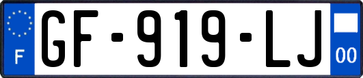 GF-919-LJ