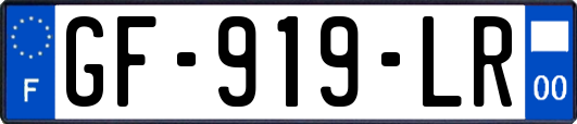 GF-919-LR