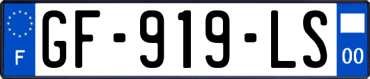 GF-919-LS