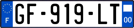 GF-919-LT