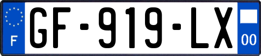 GF-919-LX