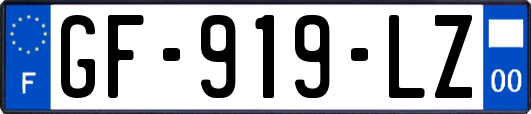 GF-919-LZ