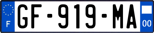 GF-919-MA
