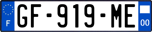 GF-919-ME