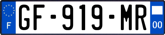 GF-919-MR