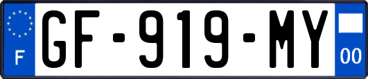 GF-919-MY