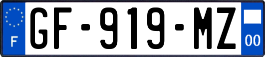GF-919-MZ