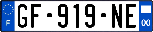 GF-919-NE