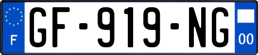 GF-919-NG