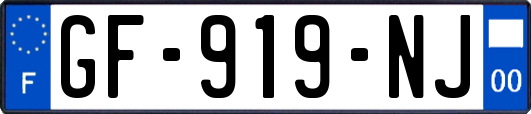GF-919-NJ