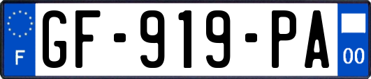GF-919-PA