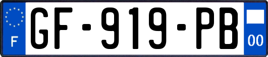 GF-919-PB