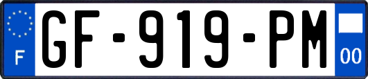 GF-919-PM
