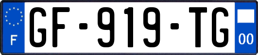 GF-919-TG
