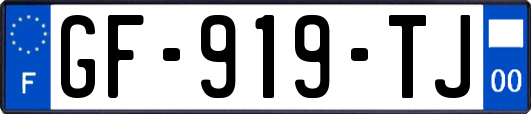 GF-919-TJ