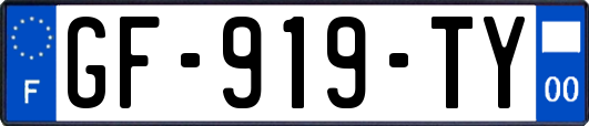GF-919-TY