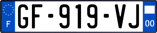 GF-919-VJ